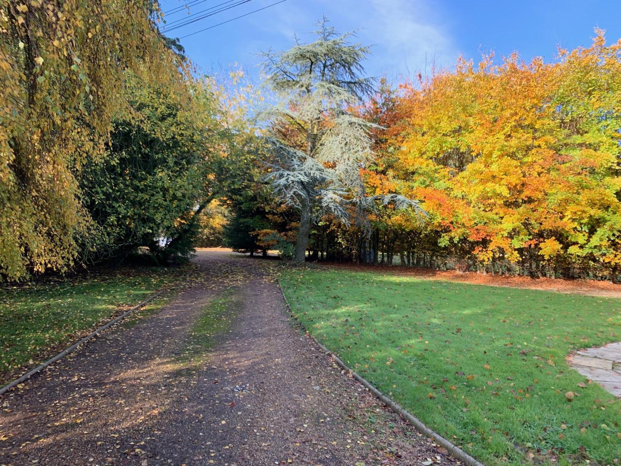 Aldercarr Hall Great Ellingham Buitenkant foto